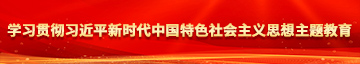 日小姑娘的小嫩逼高清视频学习贯彻习近平新时代中国特色社会主义思想主题教育